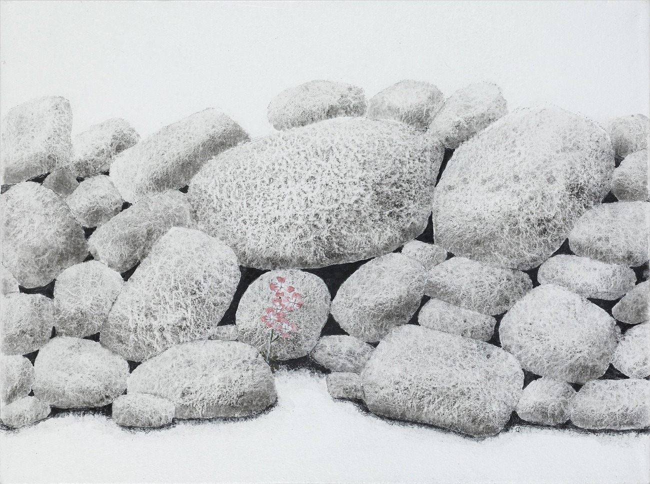 Stones With Purple Flower