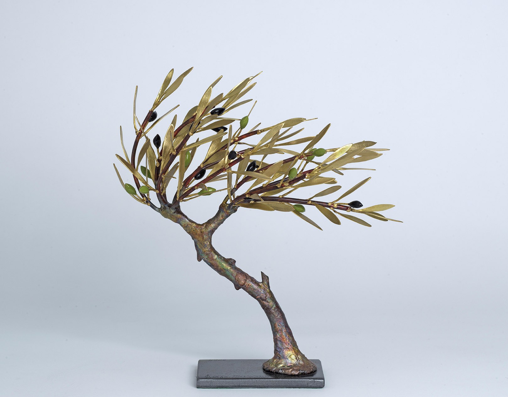 Olive Tree